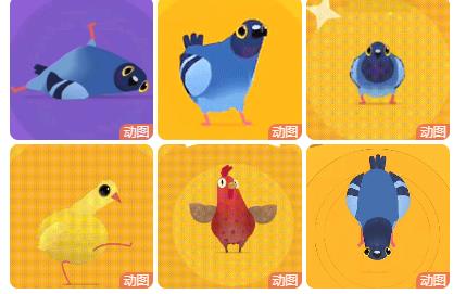 #Pigeon Pop#Video version GIF free download （6p）