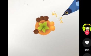 These Pigeon Pop legends are bouncing