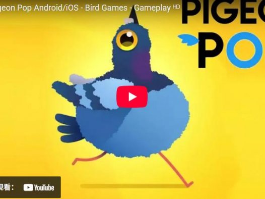 Pigeon Pop full-bleed hero artwork