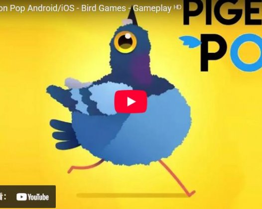Pigeon Pop Android/iOS – Bird Games – Gameplay ᴴᴰ